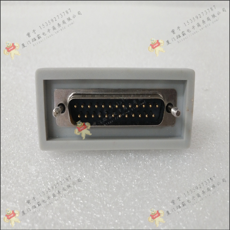 ABB  3BSC210011R1    数字输入输出