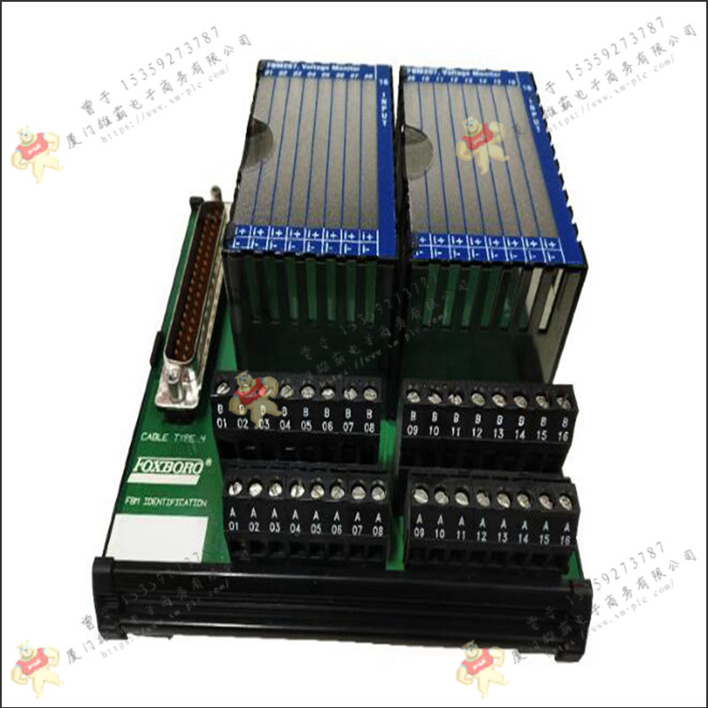 FOXBORO-福克斯波罗 P0916AC DCS模块