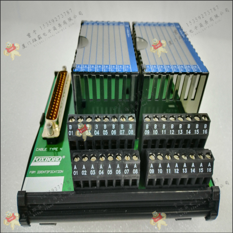 FOXBORO-福克斯波罗 P0971RD 输入模块 售后无忧