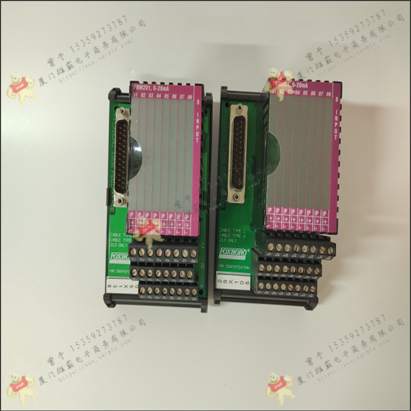FOXBORO-福克斯波罗 P0971TR 输入模块 售后无忧