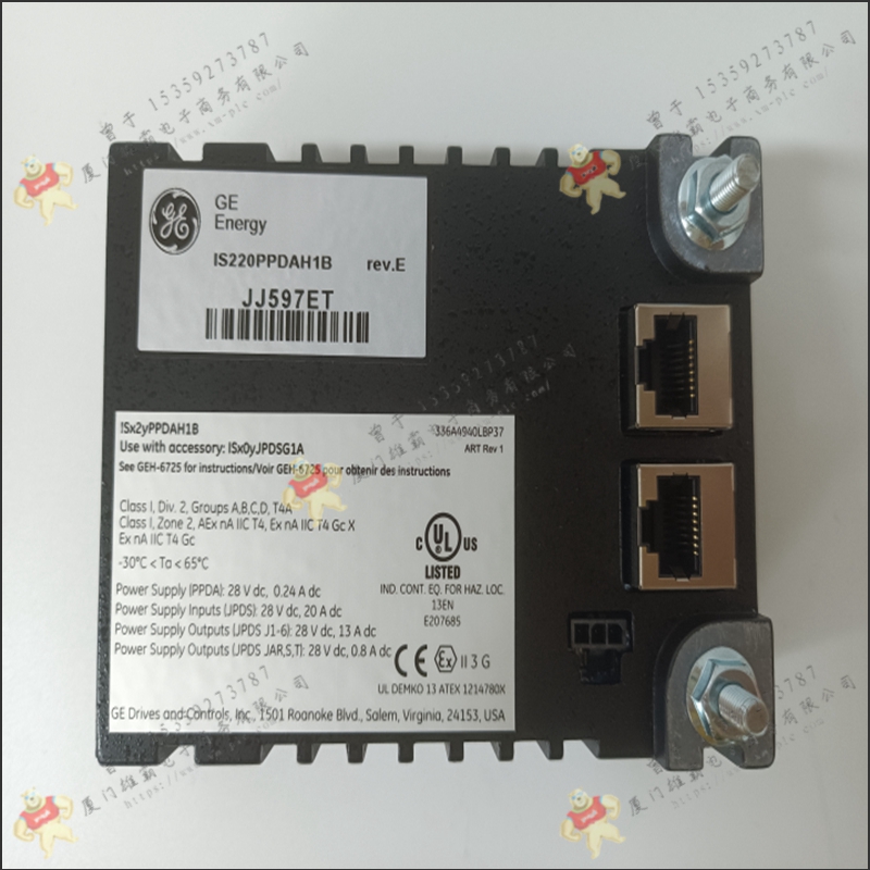GE   IC694ALG220    PLC控制系统
