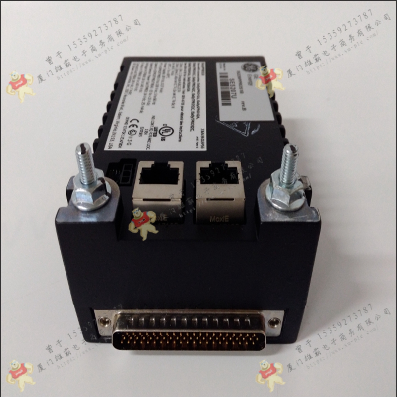 GE   IC694ALG221    PLC控制系统