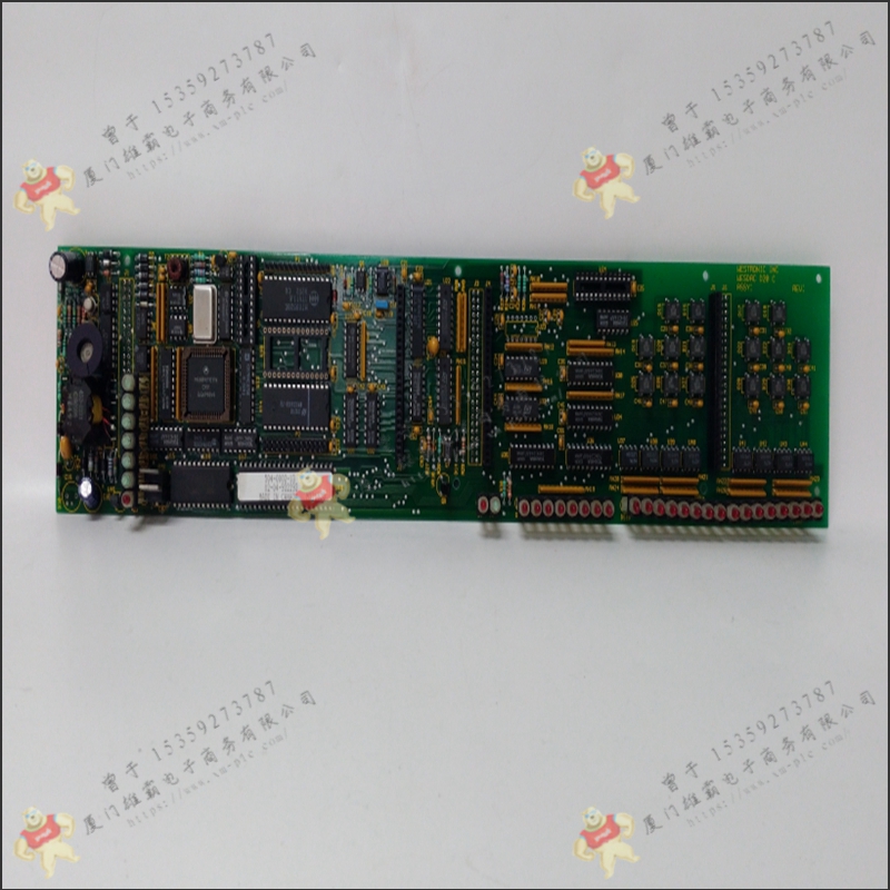 GE   IC694ALG232    PLC控制系统