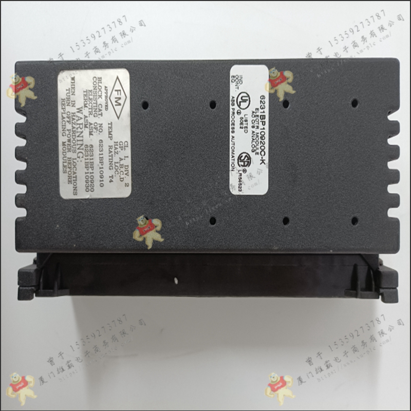 GE   IC756CSW24IM    处理器模块  质量保障
