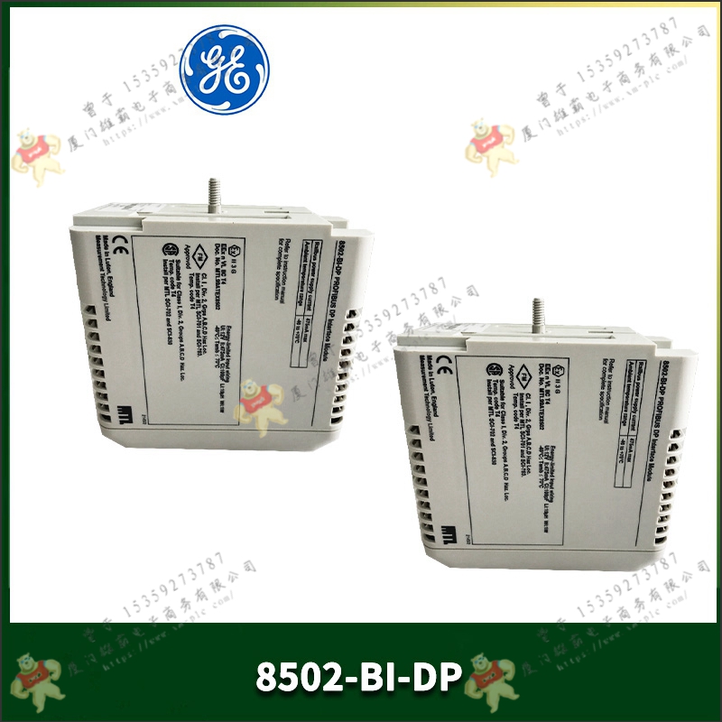 GE   IC866-0450-2A3-2P   PLC电源模块