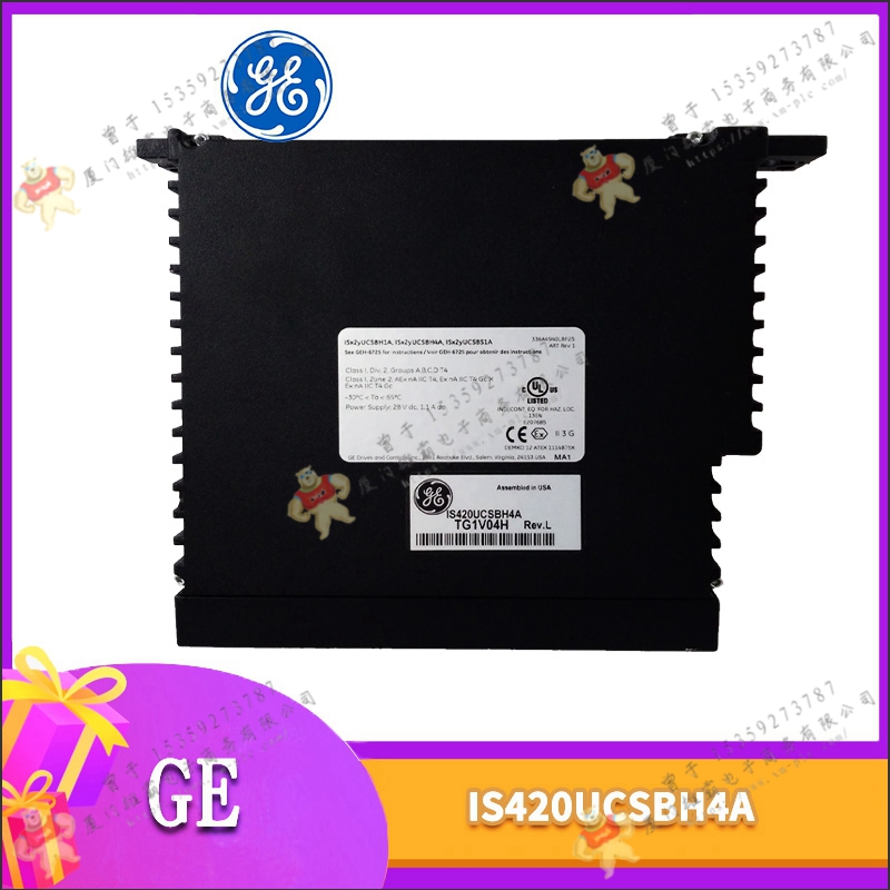 GE DS200LPPAG1AAA 通用电气显示板