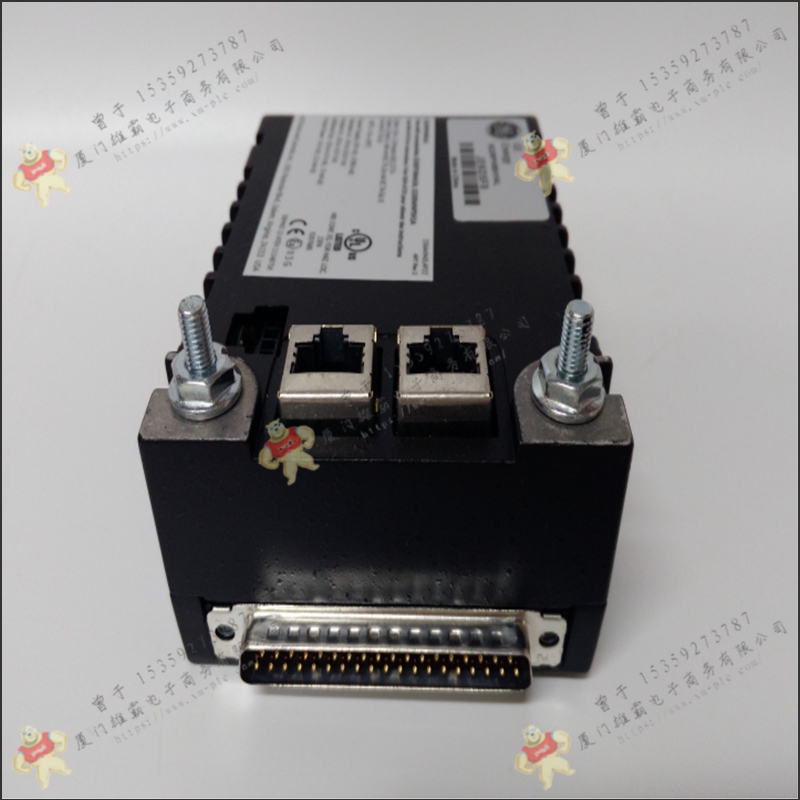 GE   DS200RTBAG3A   通用电气显示板
